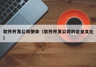 软件开发公司使命（软件开发公司的企业文化）