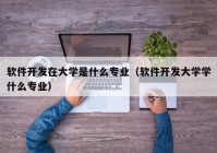 软件开发在大学是什么专业（软件开发大学学什么专业）