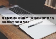 专业网站建设网站推广（网站建设推广公众号app商城小程序开发等）